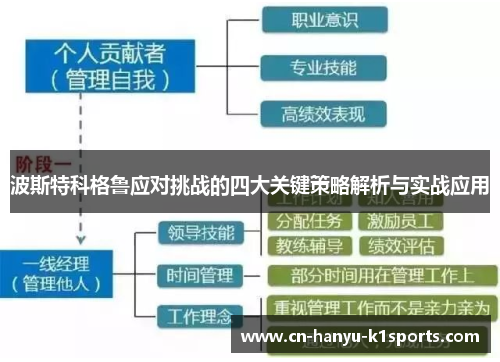 波斯特科格鲁应对挑战的四大关键策略解析与实战应用